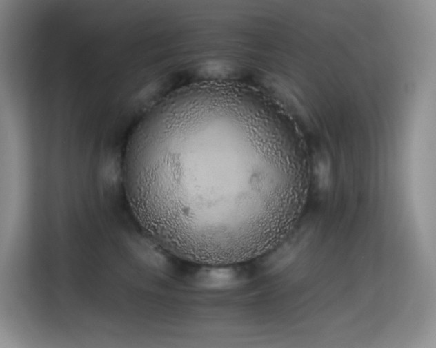 X0000114680665200910211211