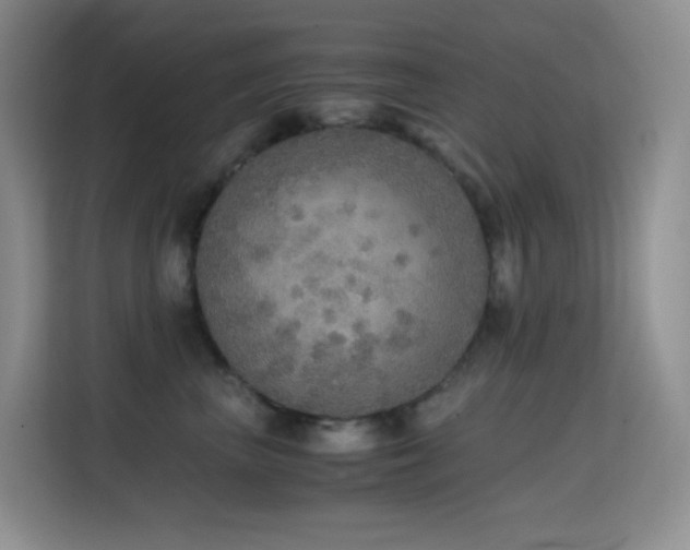 X0000114680667200910211211