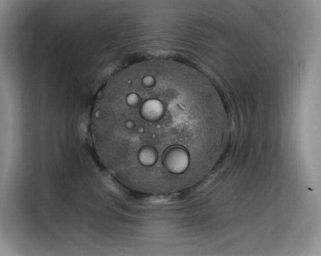 X0000114680668200910211211
