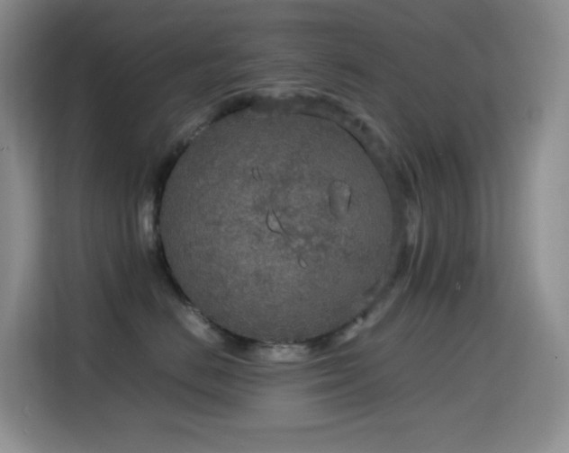 X0000114680670200910211211
