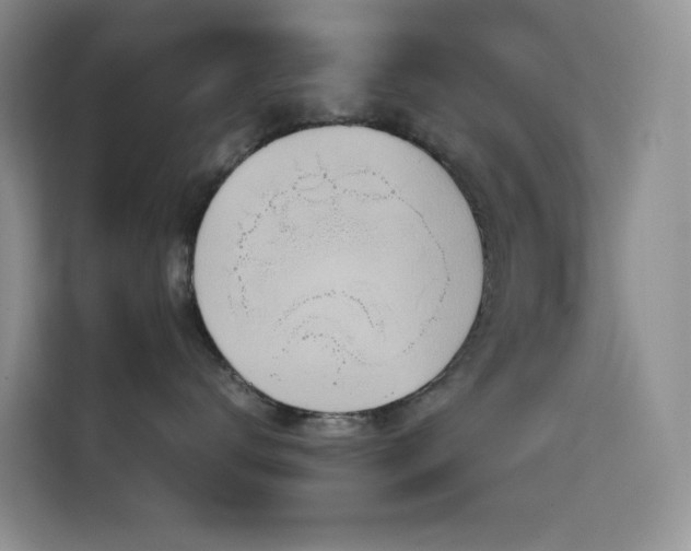 X0000114680672200910211211