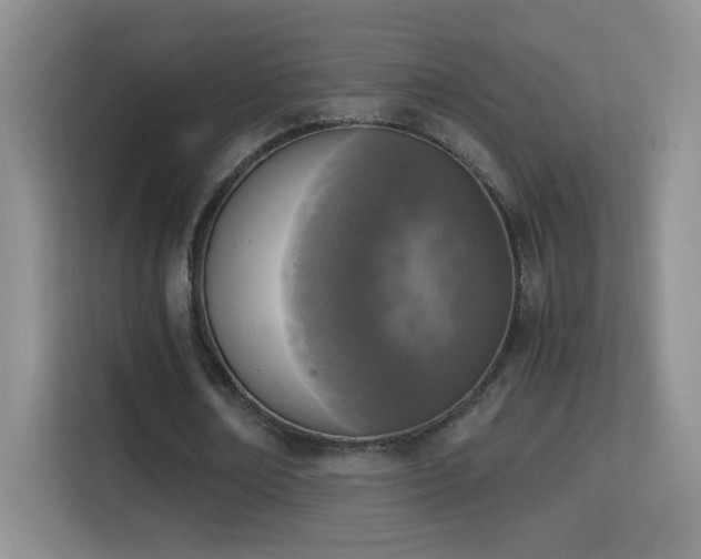 X0000114680674200910211211