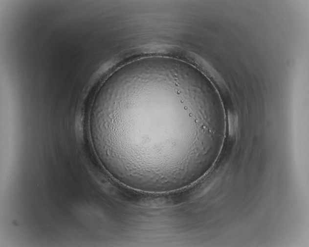 X0000114680675200910211211