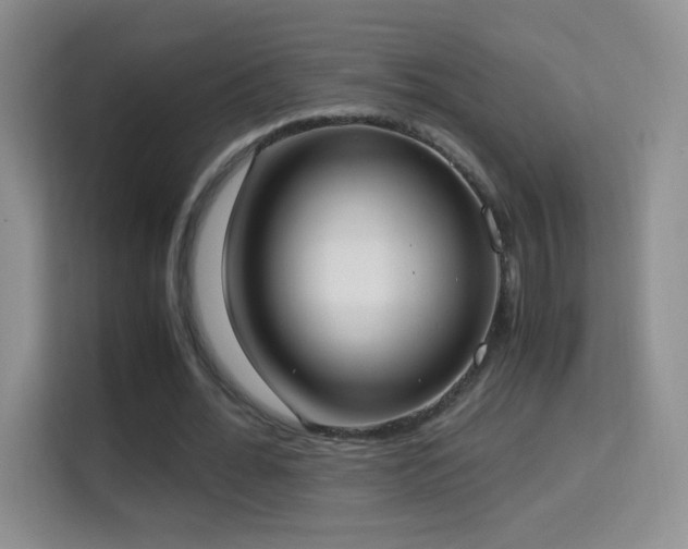 X0000114680676200910211211