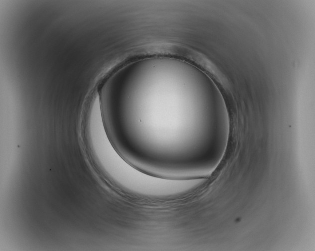 X0000114680677200910211211