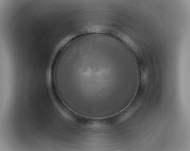 X0000114680678200910211211