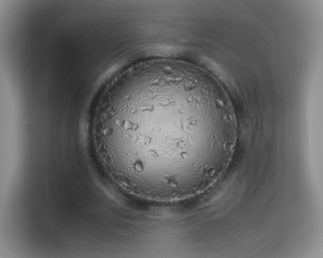 X0000114680679200910211211