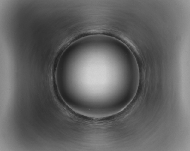 X0000114680681200910211211