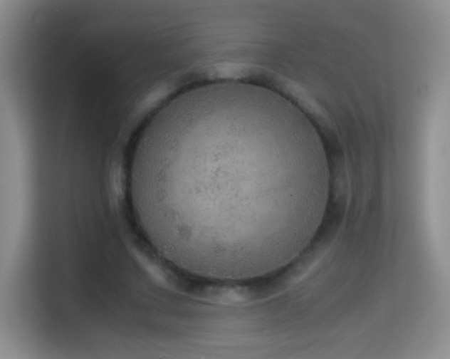 X0000114680683200910211211