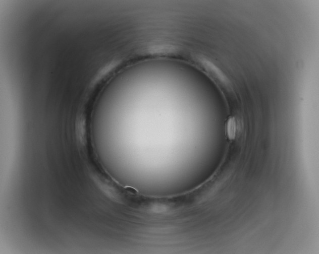X0000114680684200910211211