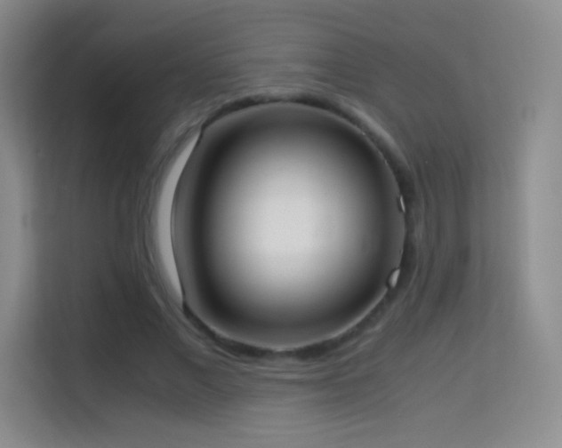 X0000114680685200910211211