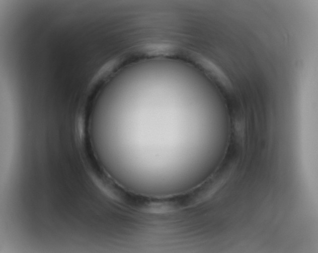 X0000114680686200910211211