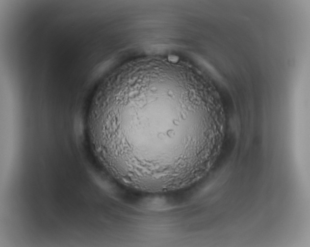 X0000114680687200910211210