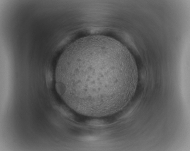 X0000114680691200910211210