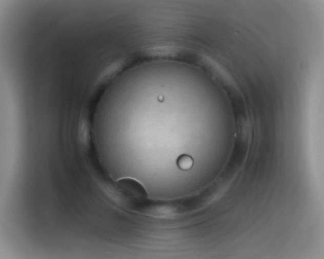 X0000114680692200910211210