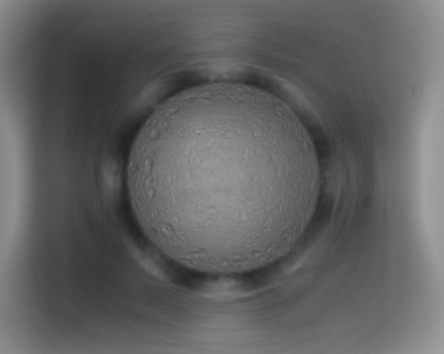 X0000114680695200910211210