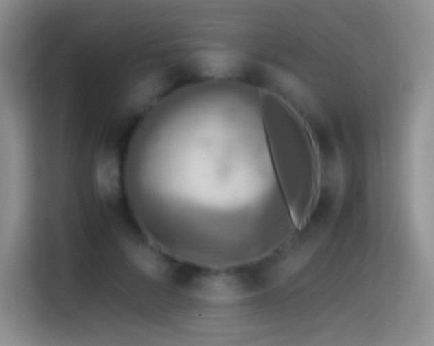 X0000114680696200910211210