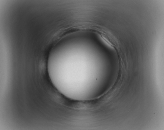 X0000114680697200910211210