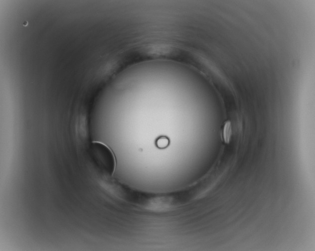 X0000114680700200910211210