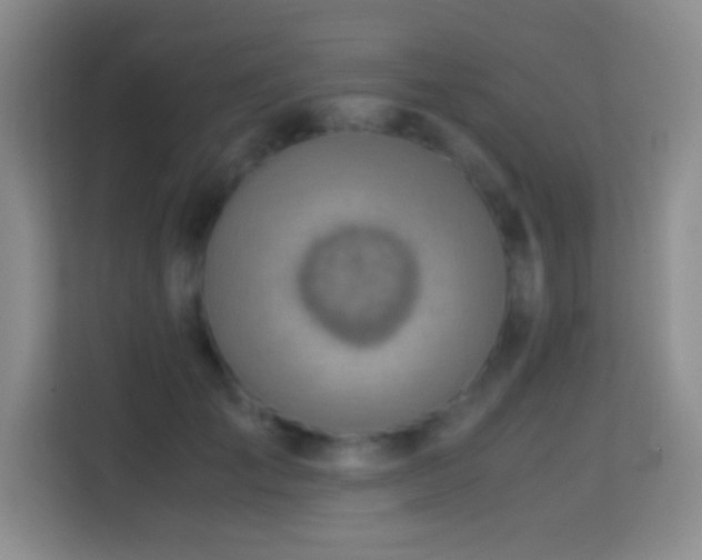 X0000114680701200910211210