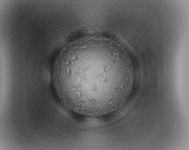X0000114680703200910211210