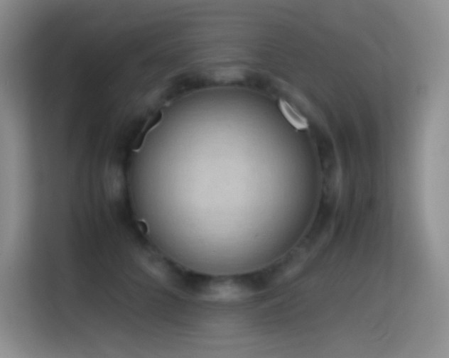 X0000114680704200910211210