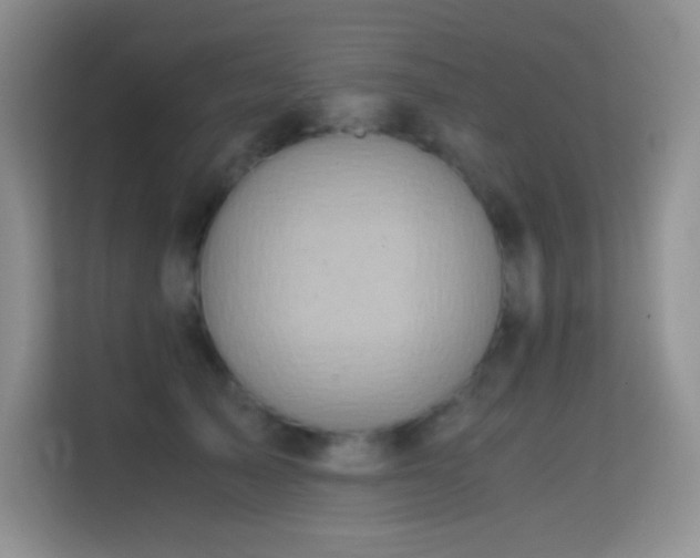 X0000114680705200910211210