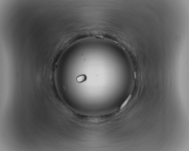 X0000114680709200910211210