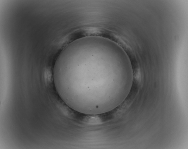 X0000114680715200910211210