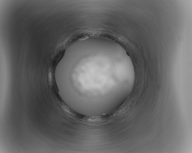 X0000114680720200910211210