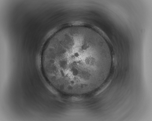 X0000114680725200910211209