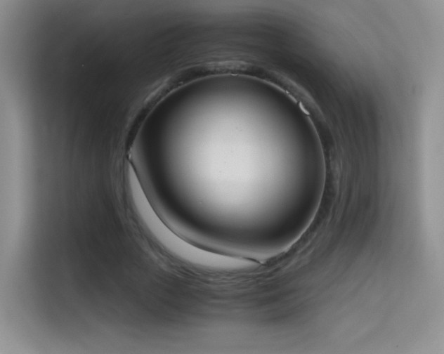 X0000114680729200910211210