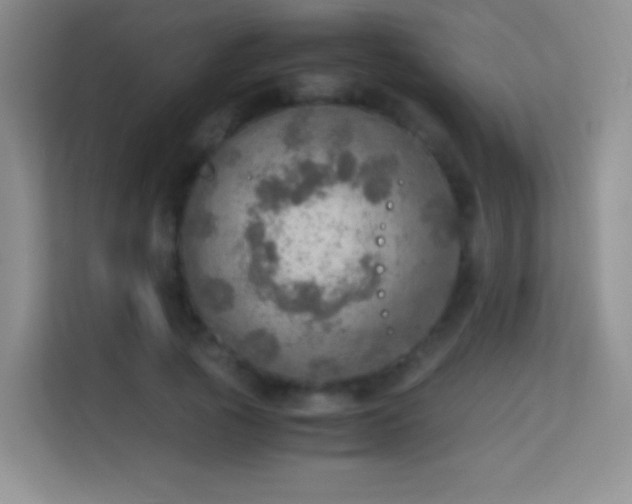 X0000114680737200910211210