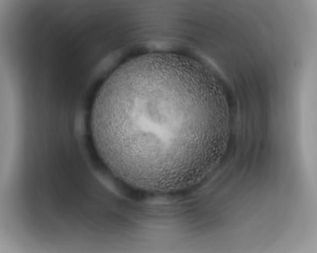 X0000114680738200910211210