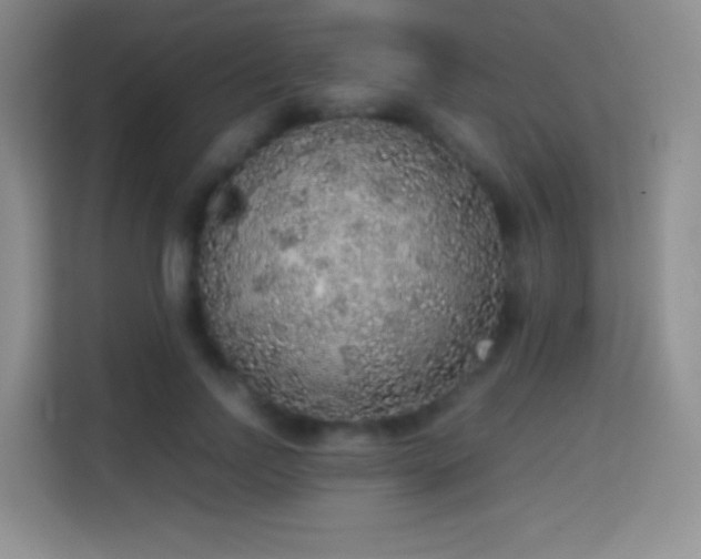 X0000114680742200910211210