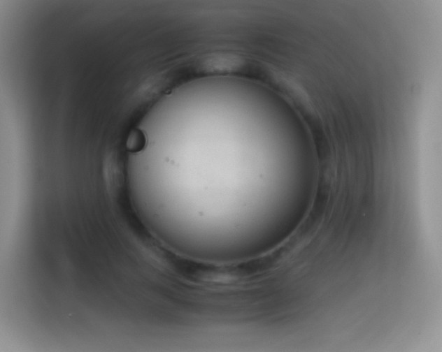 X0000114680743200910211210