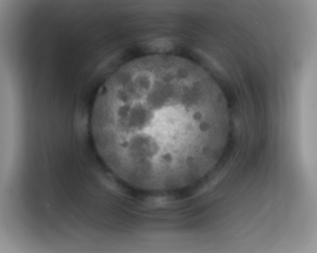 X0000114680745200910211210