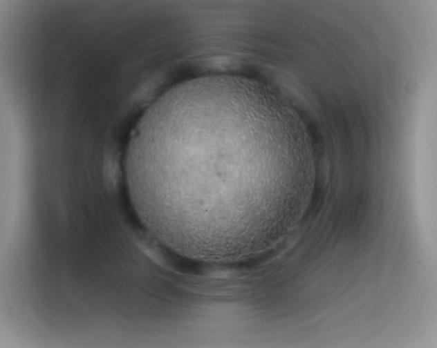 X0000114680746200910211210