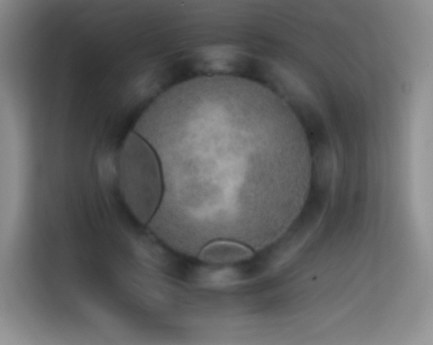 X0000114680747200910211210