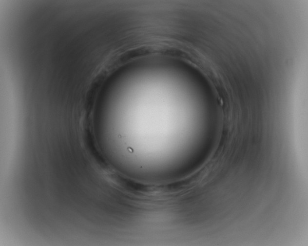 X0000114680750200910211210