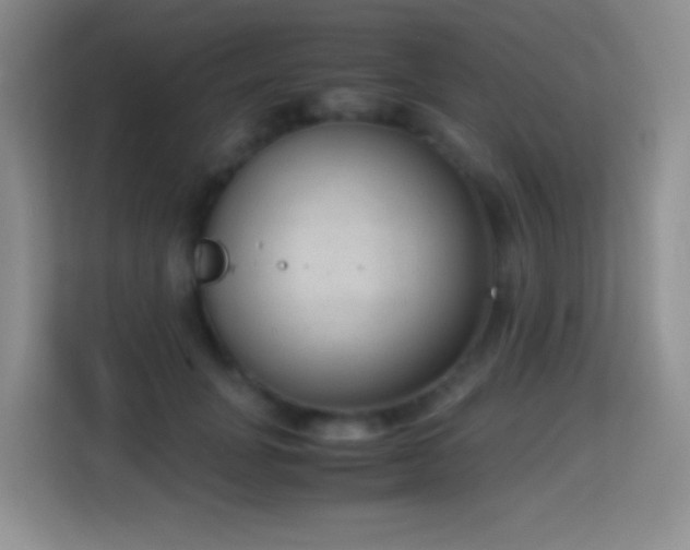 X0000114680751200910211210