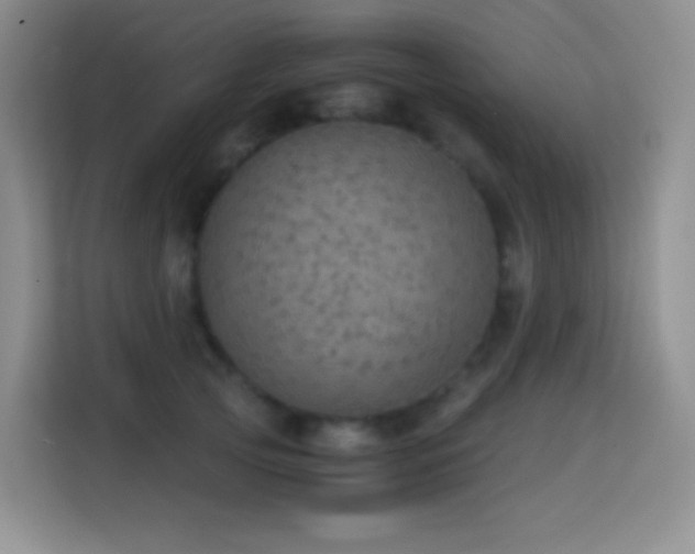 X0000114680753200910211210