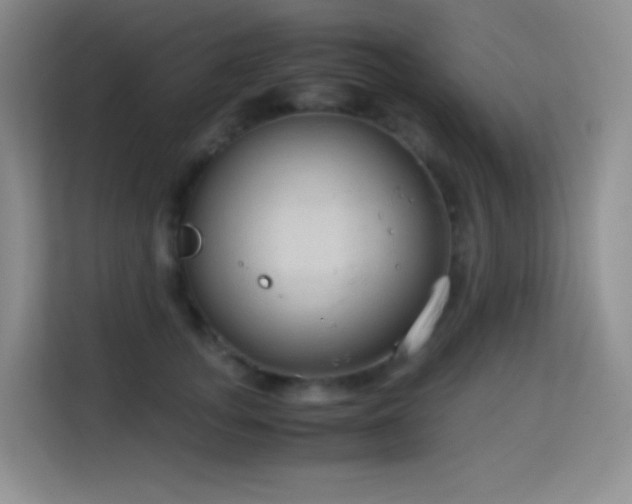 X0000114680755200910211210