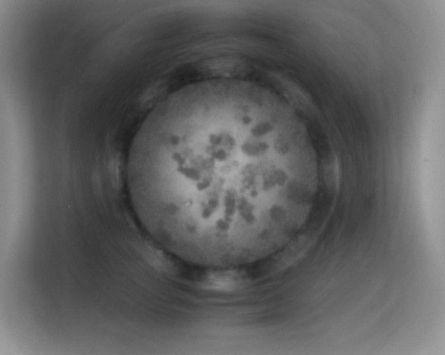 X0000114680757200910211210