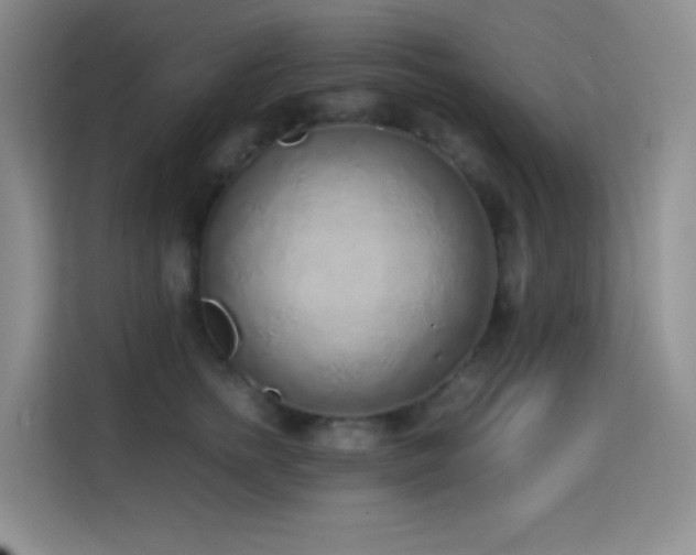 X0000114680758200910211210