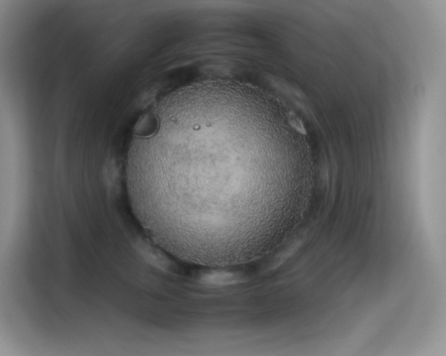 X0000114680759200910211210