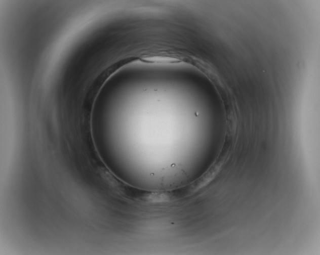 X0000114680762200910211210