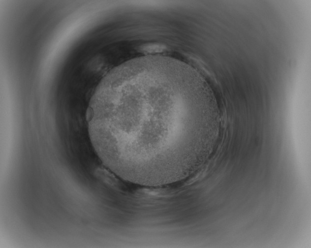 X0000114680763200910211210
