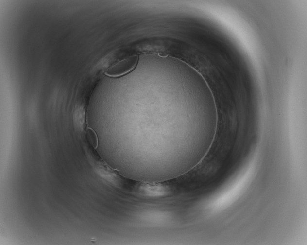 X0000114680767200910211210