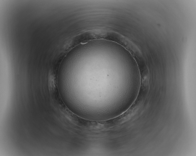 X0000114680772200910211209